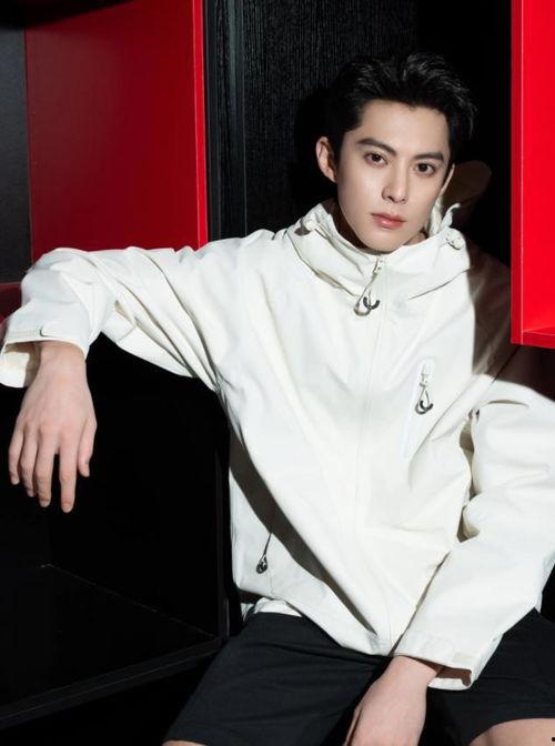 王鹤棣恋情爆料最新,甜蜜互动引粉丝热议